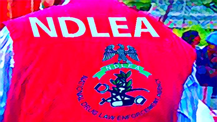 Urging Tinubu to declare emergency on drug abuse, NDLEA