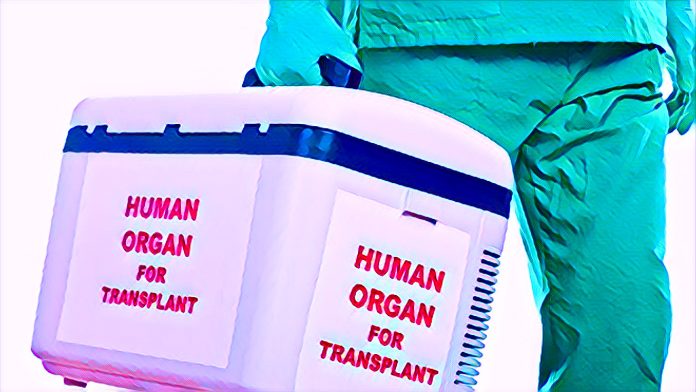 New Guidelines On Organ Transplant To Be Released by Nigeria by December