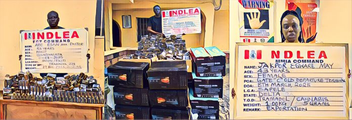 NDLEA Foils Drug Shipments to US, Saudi Arabia; Arrests Two