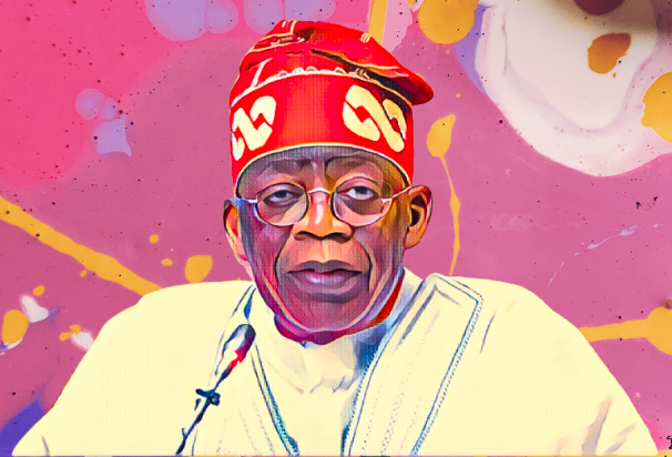 Tinubu Mid-Term Review: Progress Amid Criticism