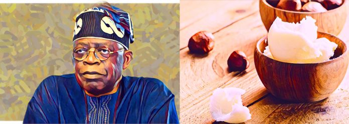 Tinubu Halts Raw Shea Exports to Spur Local Processing