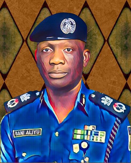 Bauchi farmer-herder clash