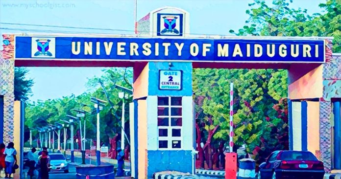 UNIMAID graduation milestone