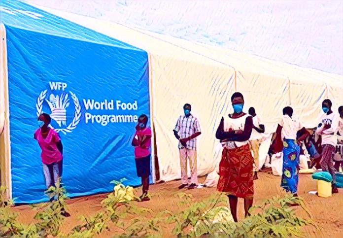 Aid Cuts Deepen Hunger in Northeast Nigeria, WFP Says