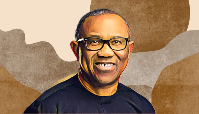 Diaspora Group Warns Over Alleged Threats to Peter Obi