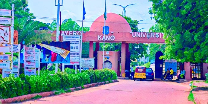 Bayero University expels 171 students for falsifying credentials