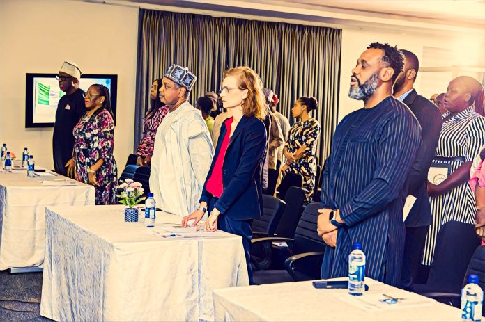 FG unveils net-zero plan, targets 2060 neutrality