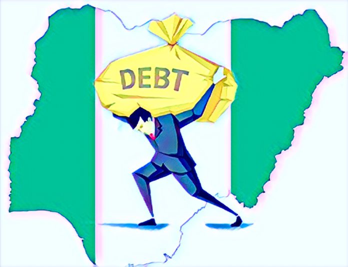 NESG warns Nigeria's debt strain persists despite stability