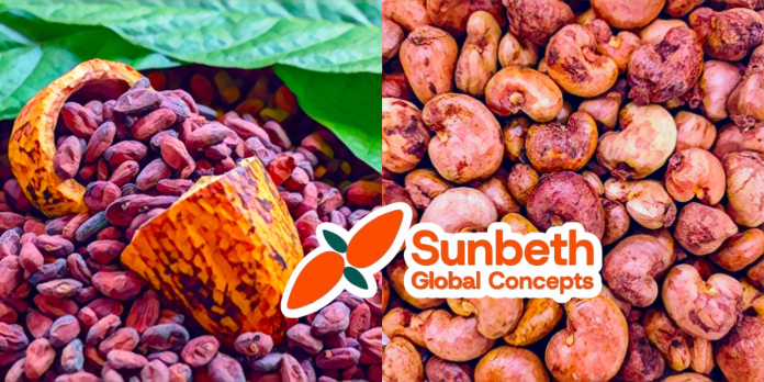 Sunbeth's Owoyemi unveils cocoa, cashew plants for 2027