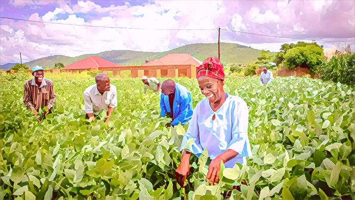 Agriculture records 3.15 percent GDP growth to N11.87trillion in first quarter