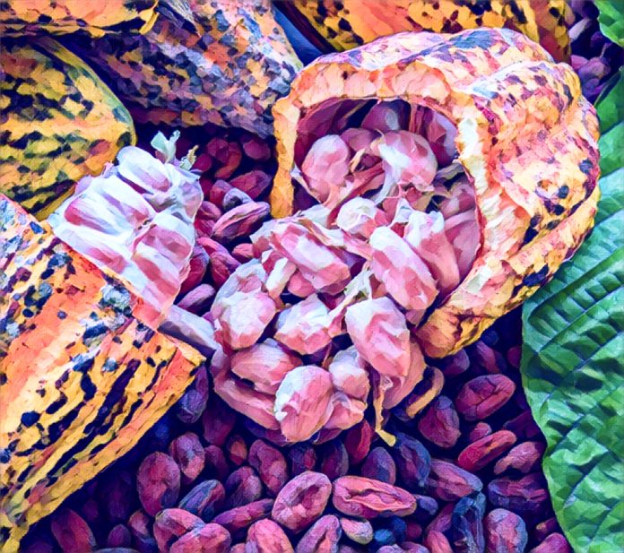 Cocoa and coffee farmers seek African bloc and $6,000 floor price to end foreign control