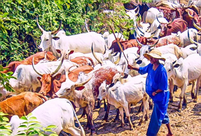 Fulani leaders seek ranches and 30% of agriculture budget for livestock ministry